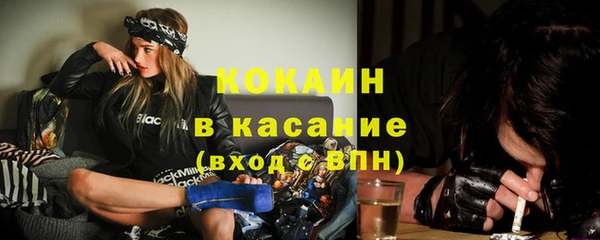 spice Аркадак