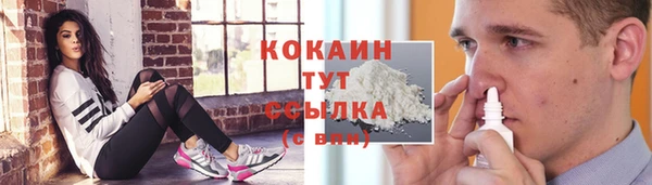 скорость Новодвинск