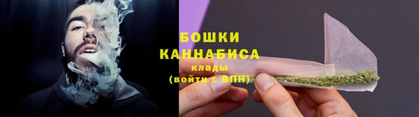 ECSTASY Новозыбков