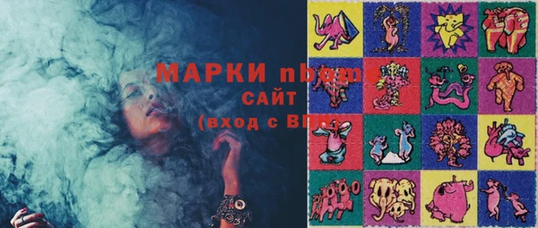 стафф Арсеньев