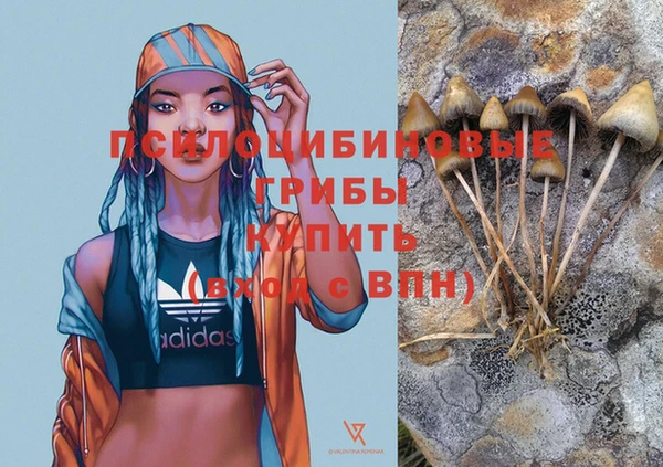стаф Армянск