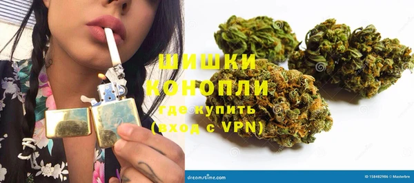 spice Аркадак