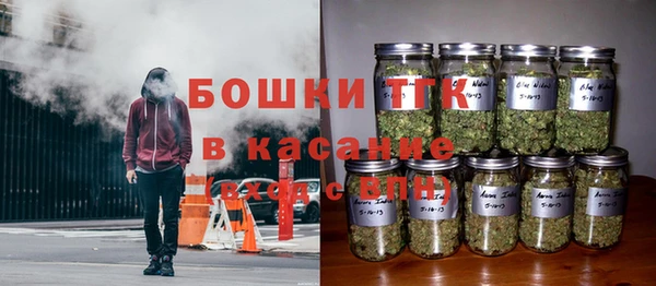 spice Аркадак