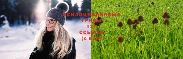 spice Аркадак