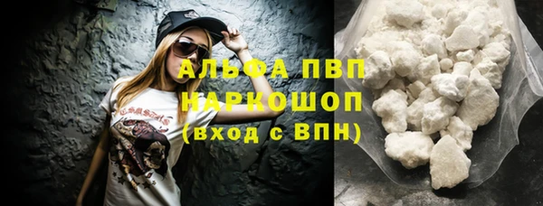стафф Арсеньев