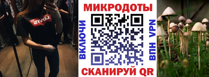 Галлюциногенные грибы мицелий  мега ТОР  Гдов  сколько стоит 